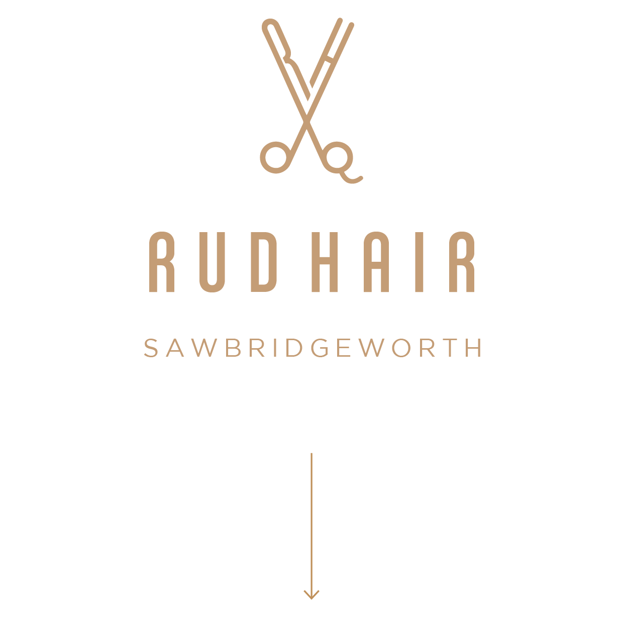 Rudhair-Homepage-logo